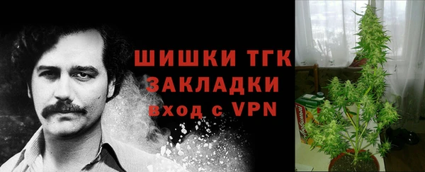 бошки Аркадак