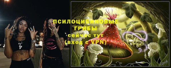 бошки Аркадак