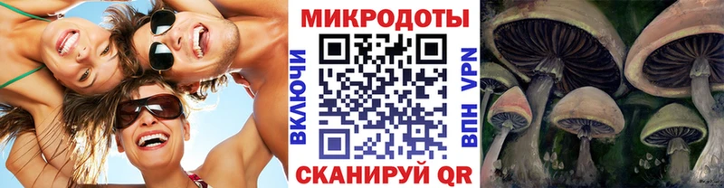 hydra онион  продажа наркотиков  Белогорск  Псилоцибиновые грибы мицелий 