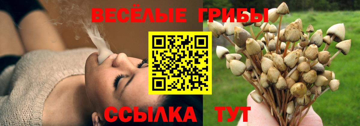 где найти   Вход с VPN  Псилоцибиновые грибы GOLDEN TEACHER  Белогорск  Псилоцибиновые грибы Magic Shrooms 